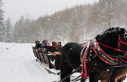 Chata pod strzechą w Beskidach - Foto 56
