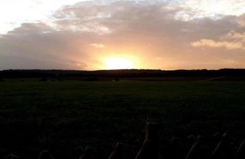 Eifel Garden Villa for Groups - Foto 69