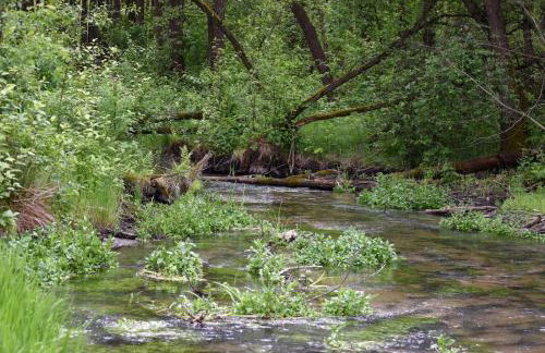 Agroturystyka w Dolinie Raty - Foto 43