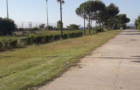 Cala di Seta Apartment - Ambra - Foto 3