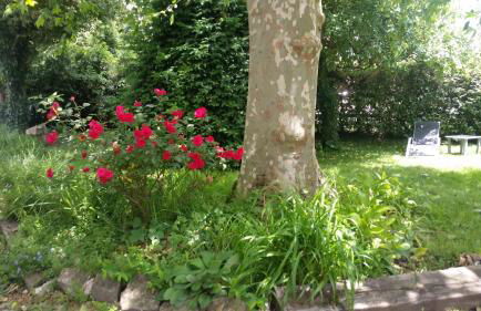 Errotazar apartamento M - Foto 20