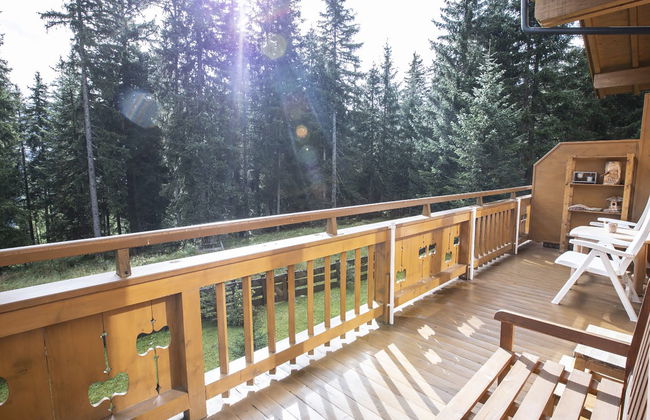 Hochkrimml 2 - Foto 38