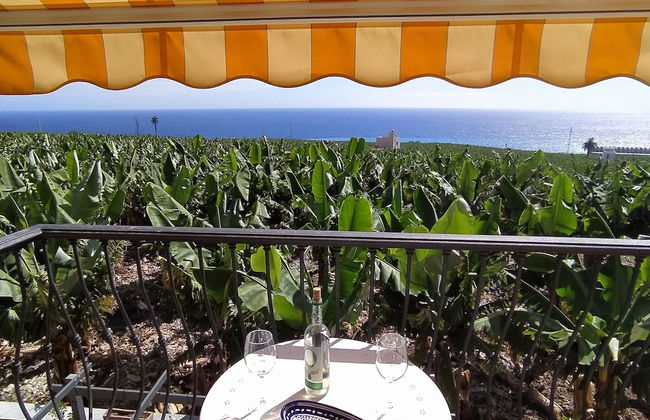 Trébol "trail Mountain La Palma" Vistas Al Mar - Foto 47