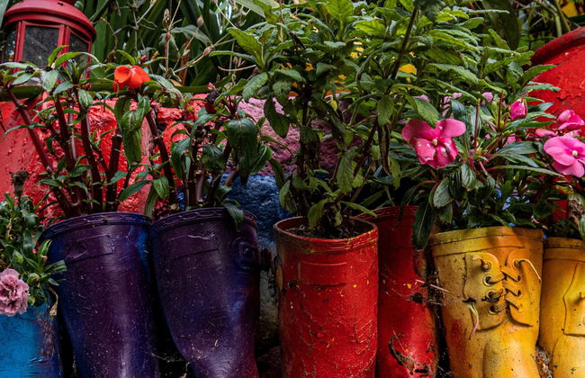 Tour alternativo por Copenhague - Foto 1