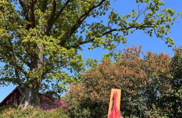 Przystanek Gałkowo - Foto 61