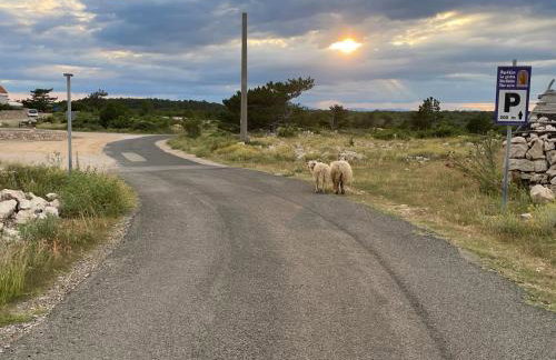 Villa Mikulica - Photo 27