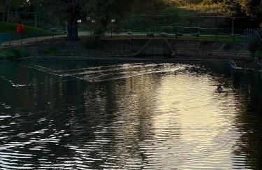 Mona's Home - Foto 20