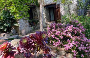 Mas Senyarich - Photo 58