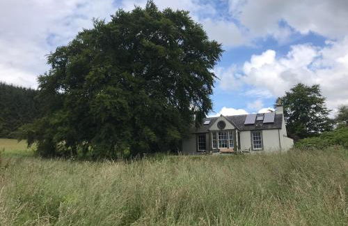 Gorgeous boutique off-grid cottage near Peebles - Foto 19