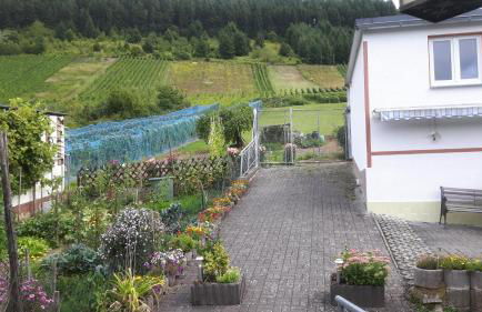 Zwei Ferienwohnungen "Im Weingarten " - Foto 3