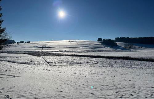 Ferienwohnung Schellenberg - Foto 23