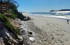 Loft Campeche Studio, Garden e Parking - Foto 26