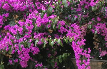 Charmantes Pfarrhaus mit Seeblick und Garten - Foto 26