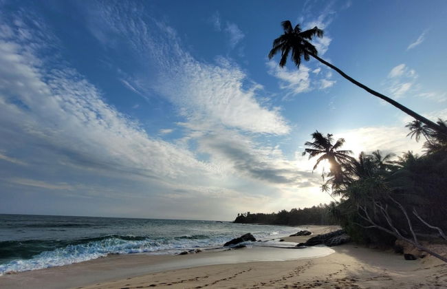 Suduwella House in Tangalle - Photo 28