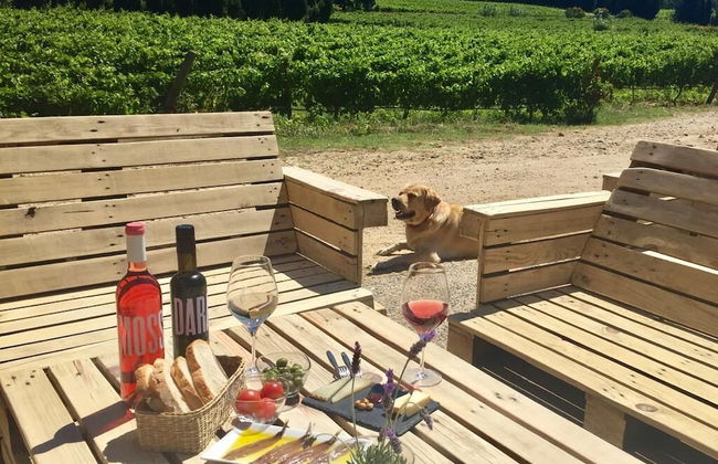 El Recer de Masia Serra - Adults Only - Foto 8