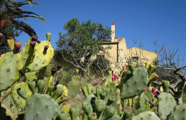 Agriturismo Baglio Vecchio - Foto 46