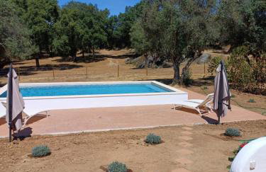 Casa da Azeitona T1 - Monte do Serrado de Baixo - Foto 12