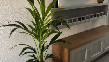 The MITS luxury apartments - Foto 3, Lobby or reception