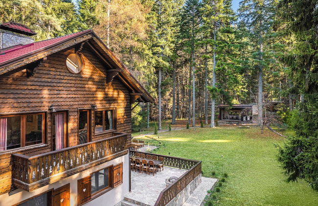 Villa Borovets Mountain & Luxury - Foto 43