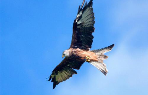 4 Bed in Cray oc-bow288 - Foto 19