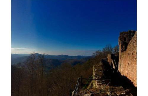 Holiday apartment Bambi in the house at the linden - Foto 13