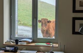 Maison 50 Belvédère du Cézallier - Photo 18