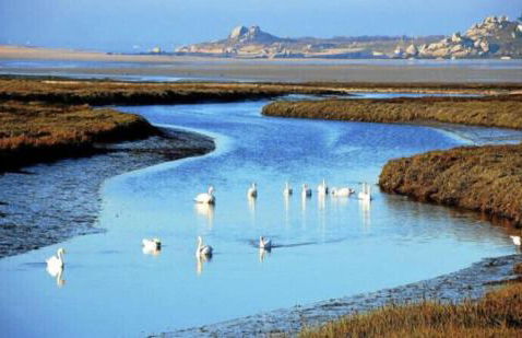 Ker-Lina sea view, calm guaranteed - Foto 39