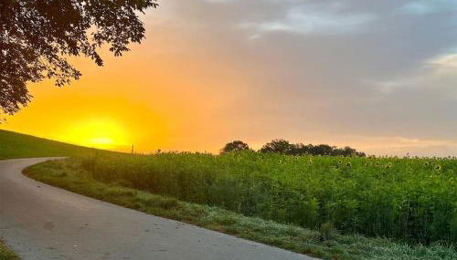 Ruhige,gemütliche Ferienwohnung - Photo 5