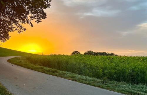 Ruhige,gemütliche Ferienwohnung - Photo 5