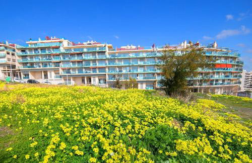 Homeincalpe Borumbot - Photo 24