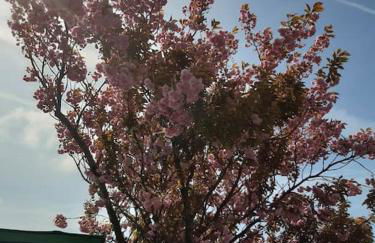 Eden House Retreat - Foto 13