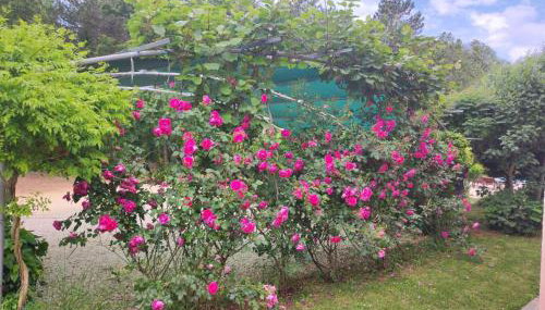 Holiday Home Valmonida by Interhome - Foto 5