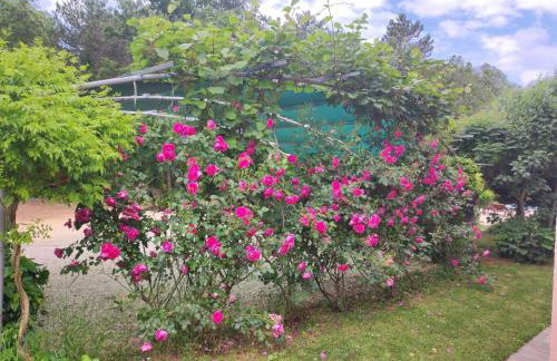 Holiday Home Valmonida by Interhome - Foto 5