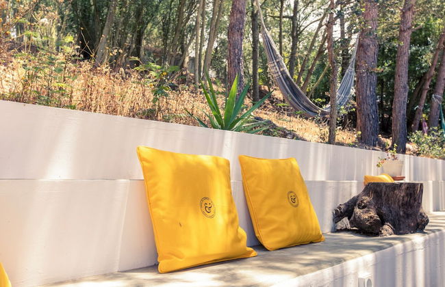 Quinta Camarena - Foto 2