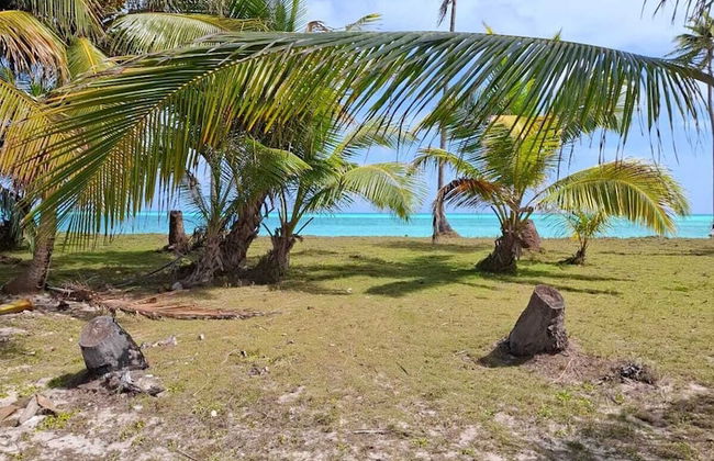 Alvira's Place - Foto 29