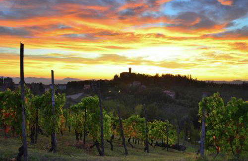 Guest House in Monferrato With Wine Tasting - Foto 40