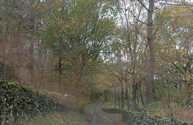 Casaesquerda Cinza - Foto 31