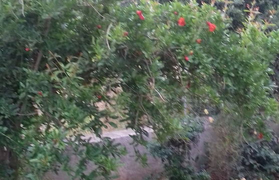 Elounda George Studios - Foto 38