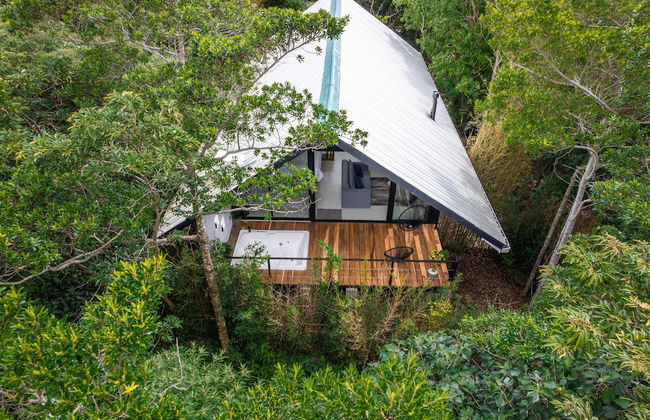 Floresta Monteverde - Foto 1