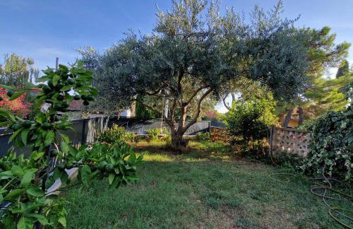 2XL Apartments - Foto 1