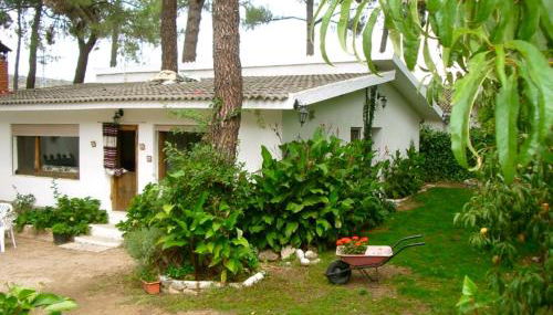 Aventura II - Photo 3