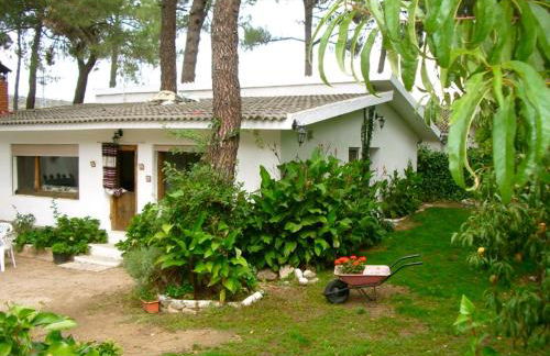 Aventura II - Photo 3