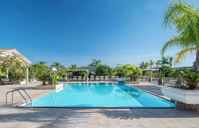 Agriturismo Terra dei Limoni - Foto 63