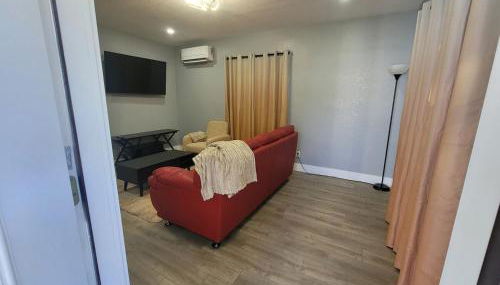 Jungle in the City! - Foto 5