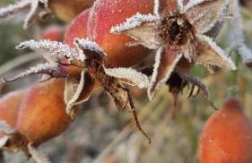 Ferienwohnung An der kleinen Schreinerei - Foto 29