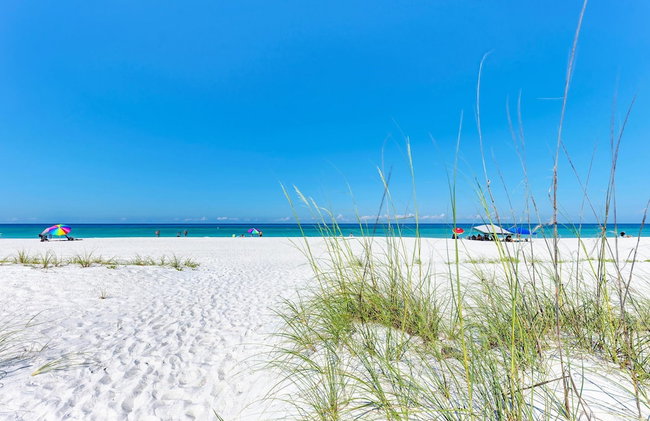 Anna Maria Island Beach Palace - Foto 45