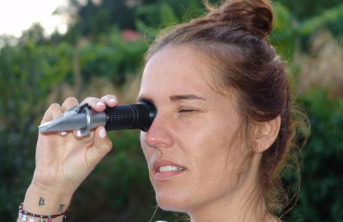 Quinta de Santa Marinha - Foto 6