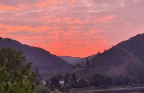 Castello Apartment Boppard - Foto 27