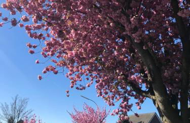 galerie 65 - Foto 18