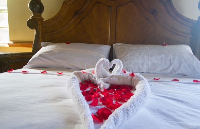 Steel Love Villa - Photo 7